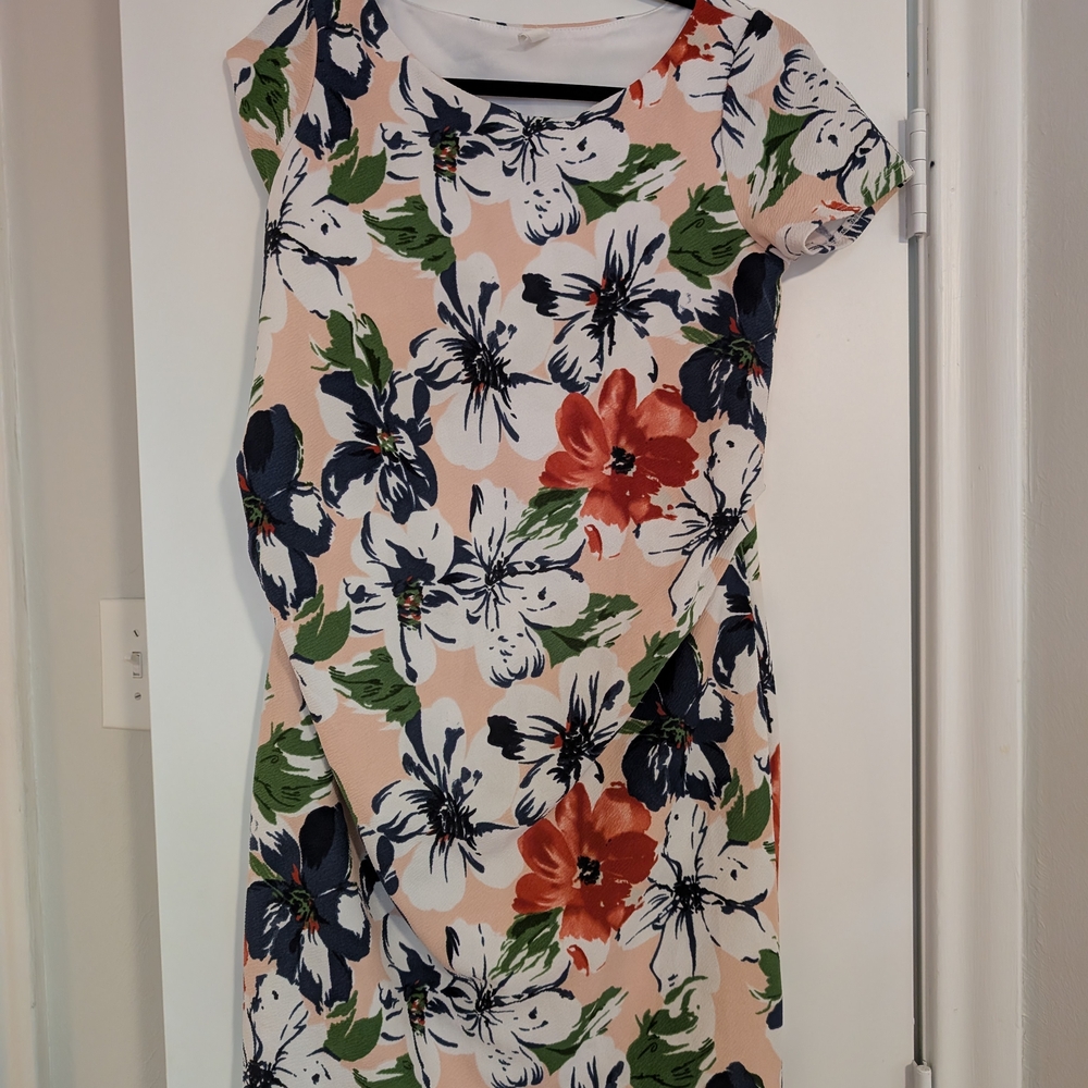 Pink Blush Floral Print Women's Maternity Dress